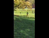 Man 76 jersey dance kick tree video shoot