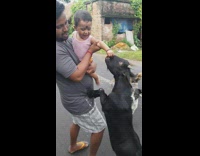 Father carry baby feed black goat street