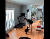 Man hits his crotch while dog plays