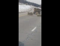 Hay tumbles out of truck 