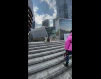 Three dogs sitting stairs vessel