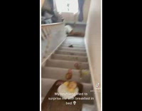 Aftermath of boyfriend spilling breakfast for girlfriend on stairs