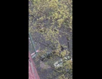 Person feeds squirrel nut on stick window 