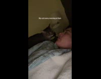 Cat wants to be fed at 5am