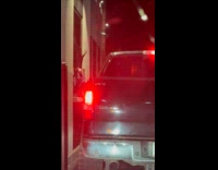 Clothed monkey at drive-thru gets inside car