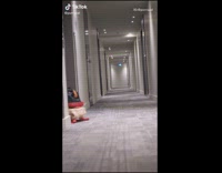 Girl pulls cat on wooden sled snow 