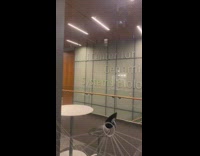 Collab BitchIG2 - Woman reads NYU center of genomics and systems biology