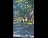 Micro car takes a ride on sidewalk