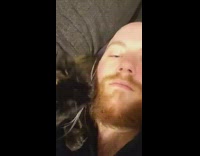 Collab DailyDoseOfInternet - Pet Cat Licks Mans Beard 