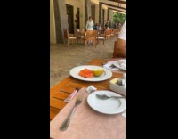 Couple lets wild bird eat fruits from plate 