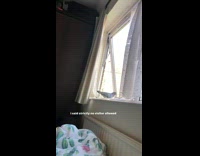Compilation video story of pigeon enter filmers house