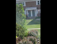 Woman black dress ring light caught filmer