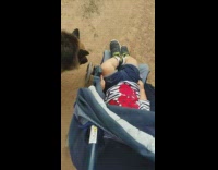 Dog bark follow wheel of baby trolley