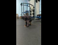 Collab Pets For All - Big brown dog grey sweater indoor gym