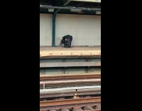 Collab Subway Creatures - Woman wear black wings at train station part 2