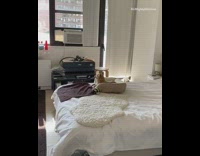 Dog sits in bed falls asleep 