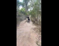 Man in Dirt Bike Crash on Sapling