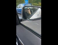 Grasshopper Holds Still on Car at Freeway