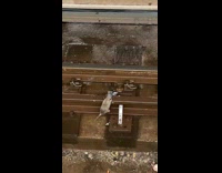 Rat tries to pull object from tracks