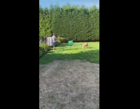 Woman blue bikini TikTok WAP Challenge backyard