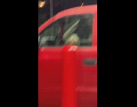 Small dog staring from car window growling at woman