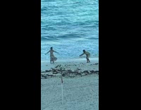 Woman in a dress danced at the beach