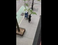 Old Woman Dances on Sidewalk with her Dog 