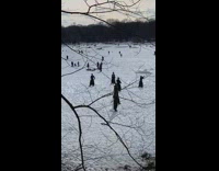 People practice martial arts at park snow 