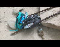 Squirrel steal bag of food from bag