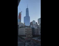 Empire state of mind song neighbors cheer 