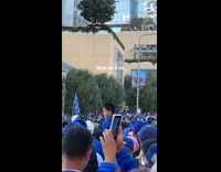 Dog held up in dodgers parade