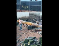 Collab winy - Man on pier shore unbuckle his belt