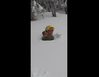 Guy jumps off tree into pile of snow, neck deep in snow