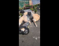 Wrapped and broken teddy bear at lot