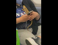 Lizard sits on chest 