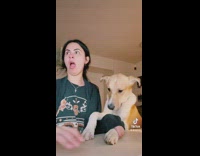 Dog presses keyboard laptop by accident deletes girls work 