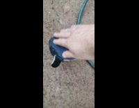 Zookeeper pets and scratches penguins inside of their exhibit 