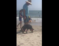 Collab Kook Of The Day - Orange kayak beach wave flip 