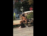 Guy black cap shake pectoral muscles bench