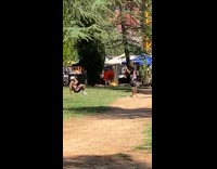 Shirtless guy push up touch heel workout 