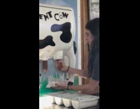 Man milking ketchup from cow dispenser 