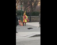 Man dressed in red yellow monkey costume with tall feathers on head at the park