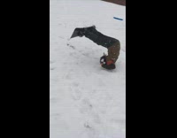 Guy kid in red jacket snowboard jump misses rail and slams face onto rail