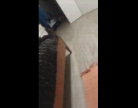 Person Whips Hair then Falls Backward 