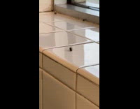 Collab Clips MPUGC - Man shows fly break dancing