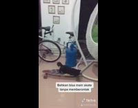 Blue shirt guy uses black cat gun 