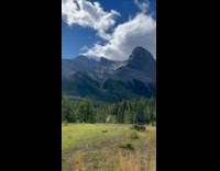 Three dogs play on field mountain behind