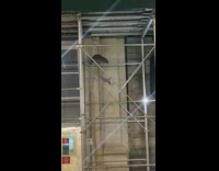 Girl watches raccoon walk across scaffolding bars 