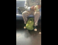 Guy peels cabbage leaves green bag train