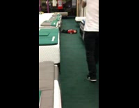 Little boy falls while running in mattress store